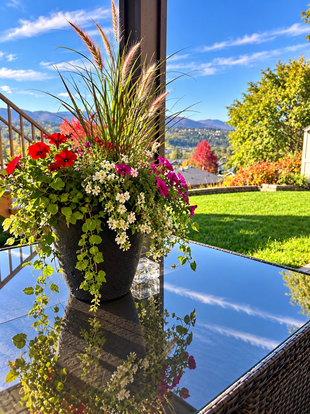 Patio flowers and backyard view